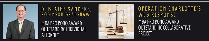 Pro Bono Winners